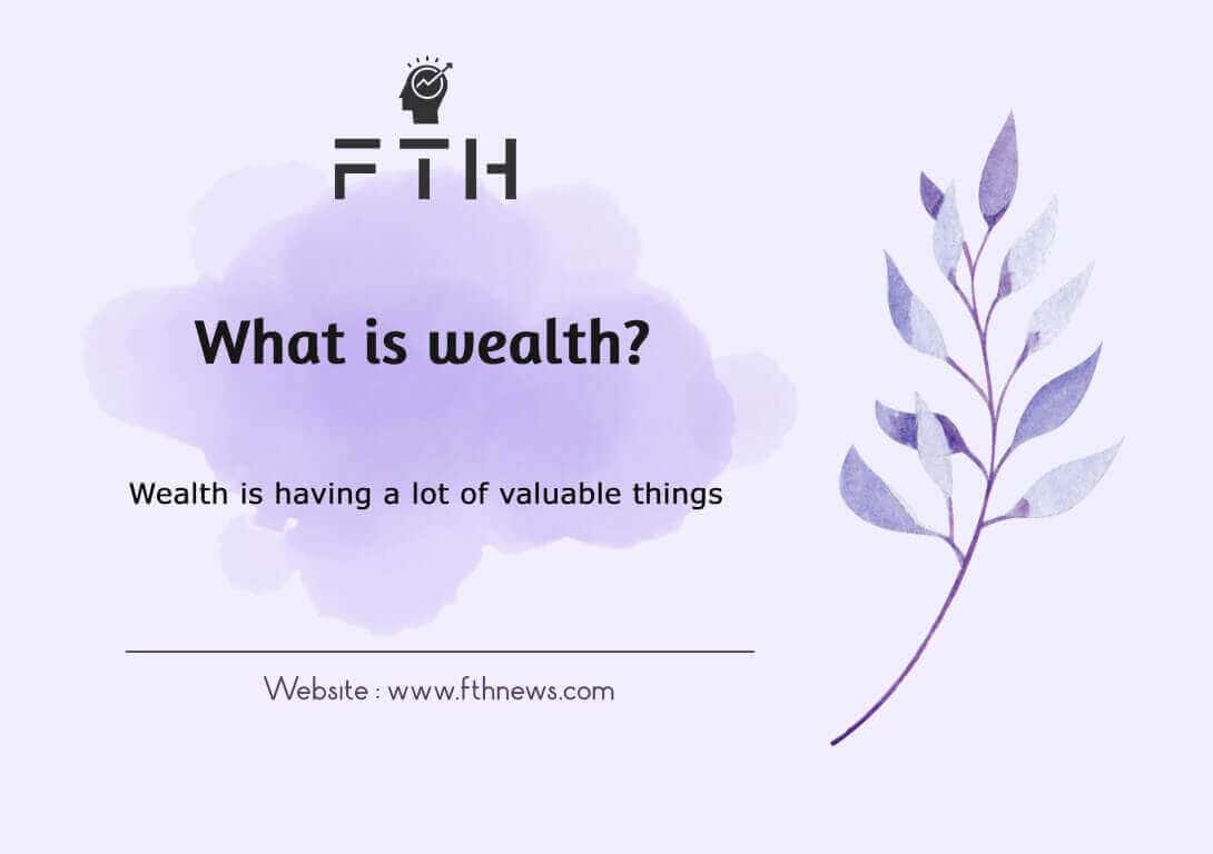 what is wealth? and consist of