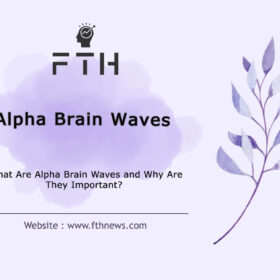 Alpha Brain Waves Understanding Their Importance