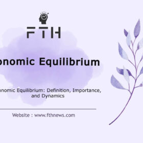 Economic Equilibrium Definition, Importance, and Dynamics