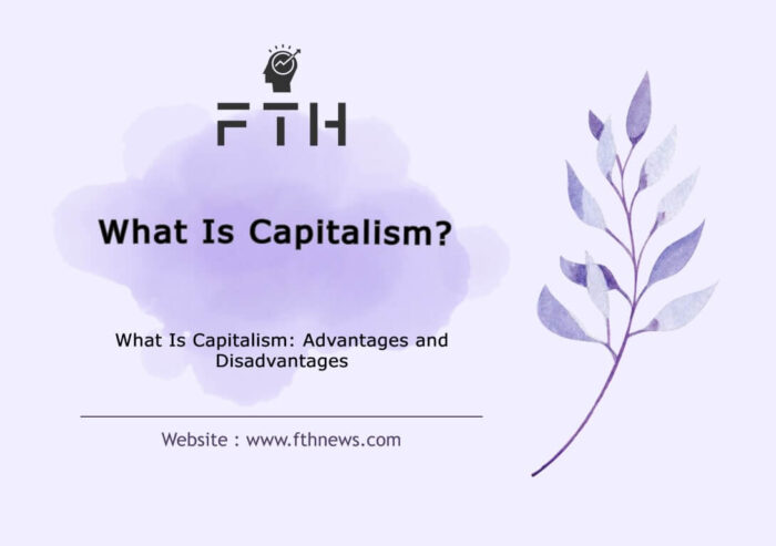 What Is Capitalism Advantages and Disadvantages