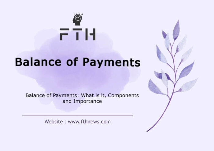 Balance of Payments What is it, Components and Importance
