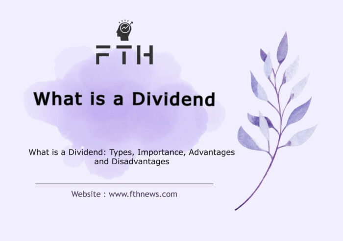 What is a Dividend Types, Importance, Advantages Disadvantages